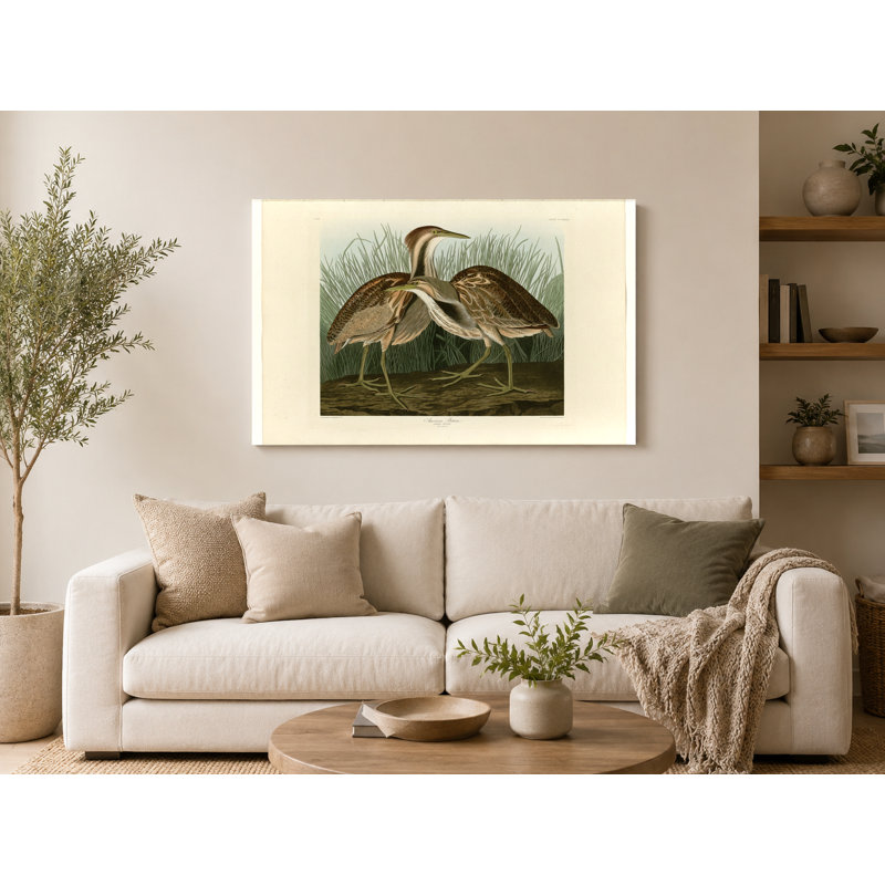 Butor américain, plaque CC XXXVII (1834) - art mural sur toile paysage, 18" W x 12" H