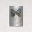 «Ragdoll 2» par Barbara Keith-1321041734