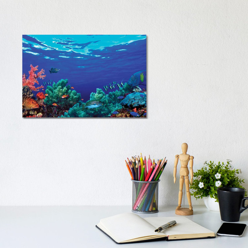 Underwater Coral Reef Community - Wrapped Canvas Print, 20.32 cm H x 30.48 cm W