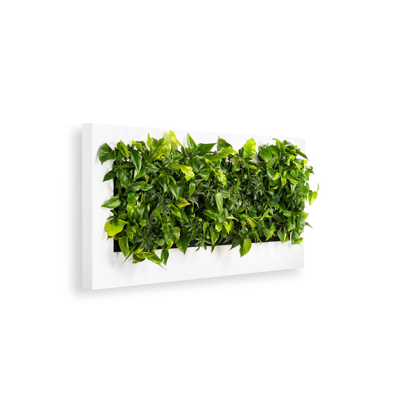 Metal Planter, White