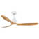 Malley 52 In. Intergrated LED Ceiling Fan Lighting With Remote Control