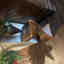 Customer photo 2 of 2