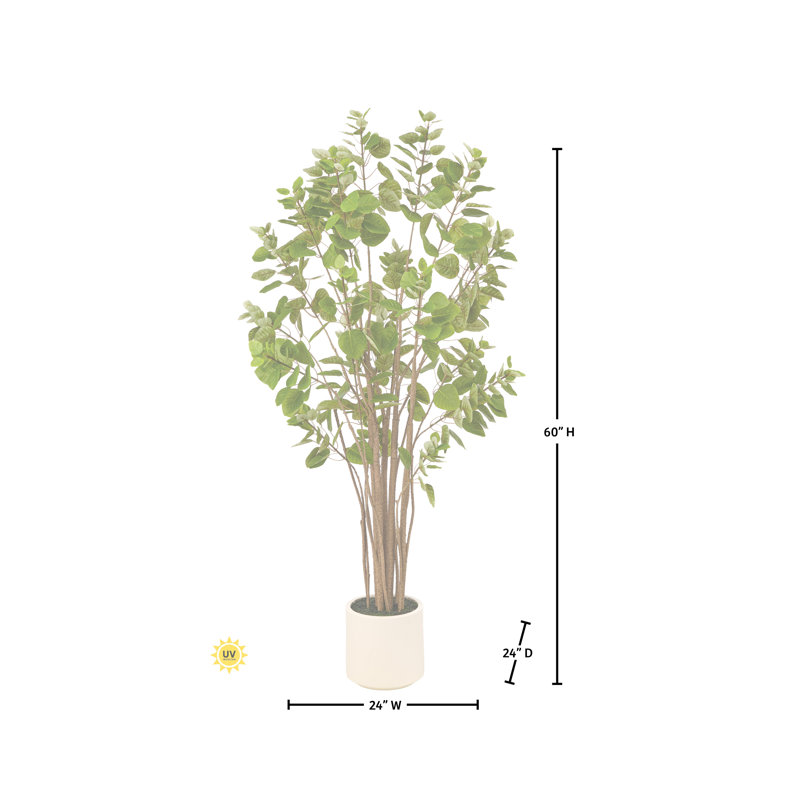 Arbre à fumée en pot 5 pi UV, 60 in x 22 in