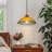 1-Light Dimmable Amber Floral Pendant with Prismatic Glass Shade