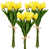 Yellow/Green selected