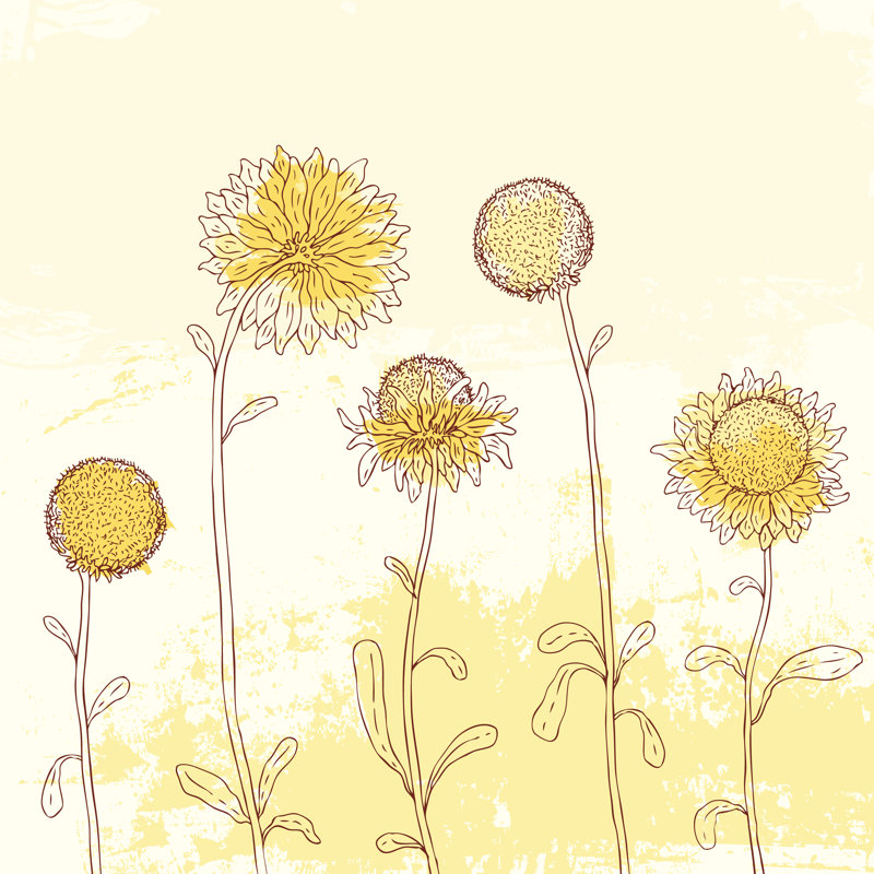Zortman Yellow Sunflower On Watercolour Background - Wrapped Canvas Print, 30cm H x 30cm W x 3.8cm D