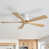 Structure blanche / lame beige