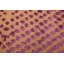 Elysian Purple Rug 5'0" x 8'3"