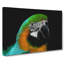 Yellow & Green Macaw Parrot in Abstract - Wrapped Canvas-55303485
