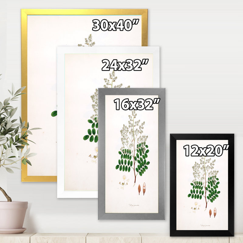 «Vintage Botanicals» - Peinture sur toile, H 40 po x l 30 po x 1,5 po, Cadre photo argenté
