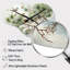 Horloge murale Aspacio-210193630