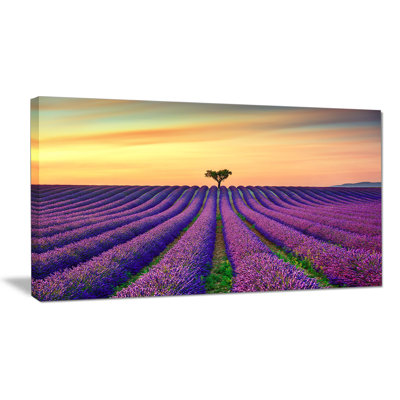 « lavande, lignes de fleurs dans provence », reproduction de photo sur toile tendue