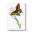 Caterpillar & Butterfly by George Shaw - Wrapped Canvas-55371270