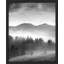 «Forest Trees Black and White Misty Mountain Range» sur papier-98266151-98266156