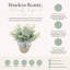 Eucalyptus Arranged in Decorative Ceramic Vase
