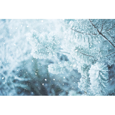 Winter Scene - Frosted Pine Branches. Winter in the Woods 1 Piece Wall Art on Canvas