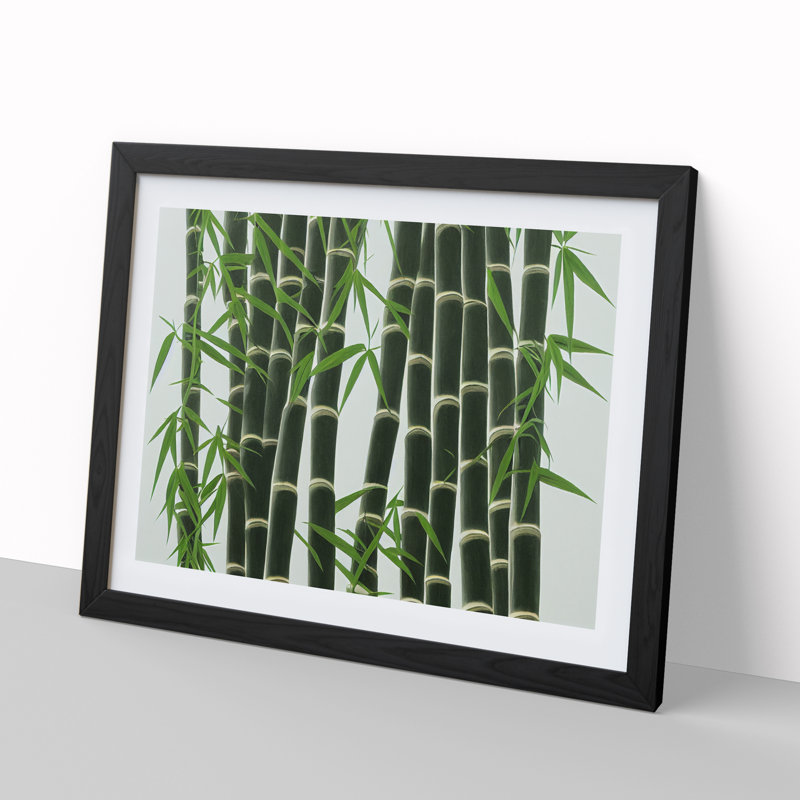 Interesting Bamboo Forest - Framed Print, Black, 46cm H x 64cm W x 2cm D