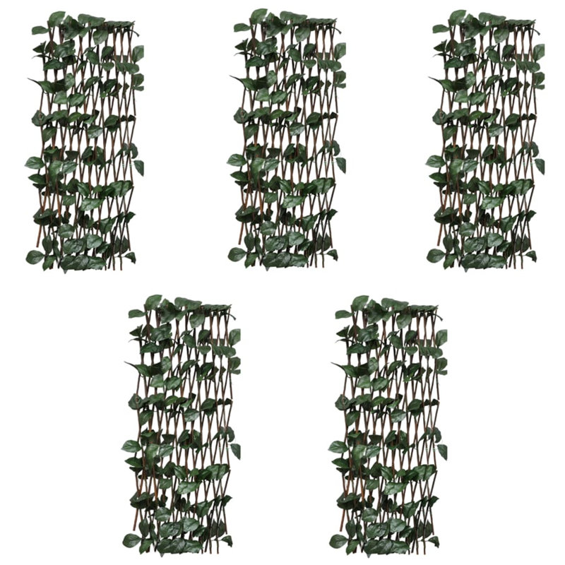 Olivian 180cm H Wood Expanding Trellis, 180cm H x 90cm W