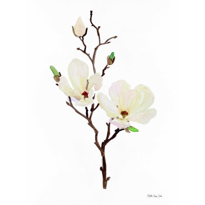 " Magnolia "
