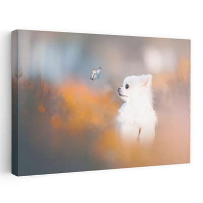 Curious Puppy Butterfly Delicate Dreamy Peaceful Butterfly Dog Autumn Nature Wall Art Print