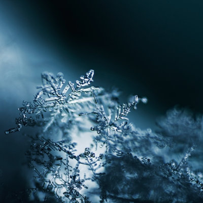 Macro réel flocon de neige