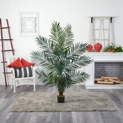 Palmier Charleca Areca