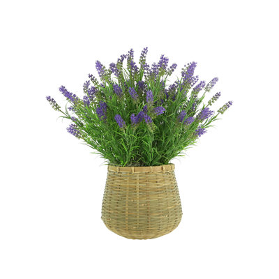 Outdoor UV-Rated Lavender in Basket Planter
