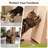 58.3‘’H Cat Tower With Scratching And Cat Condo Perch For Large Cats