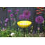 Canh Metal Pole Tray Bird Feeder