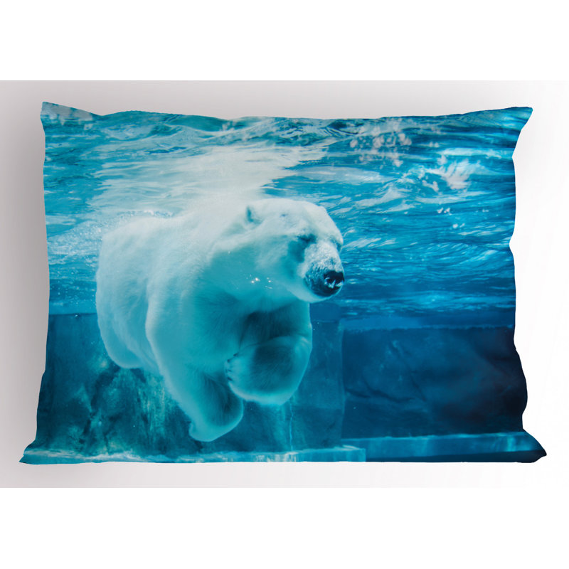 Polyester Sham Set, King