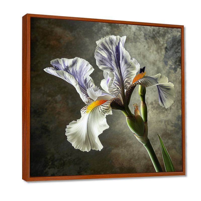 Art mural Merwin - Iris, H 36 po x l 36 po, Cadre flottant brun, bois massif