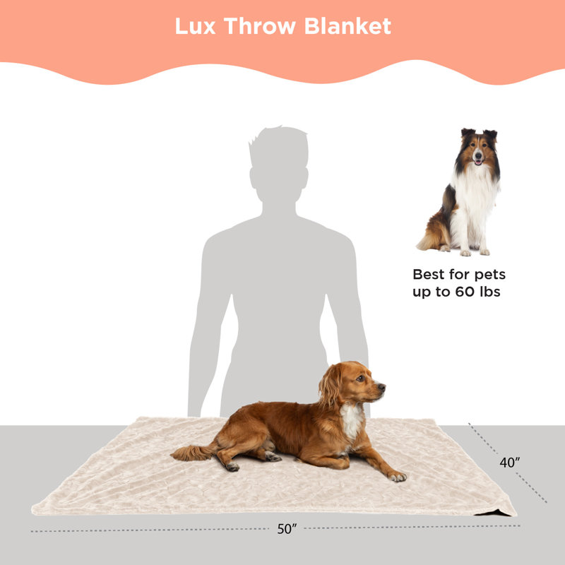 Large Cream Faux Fur Pet Blanket, 40x50