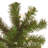 Leilonie Pre-Lit Spruce Christmas Tree-1892999644