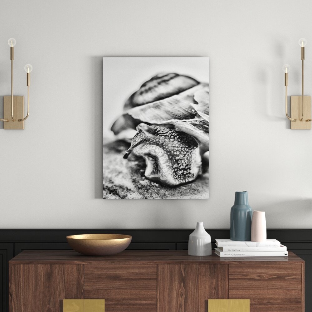 Leinwandbild Schnecke mit Haus in Monochrom