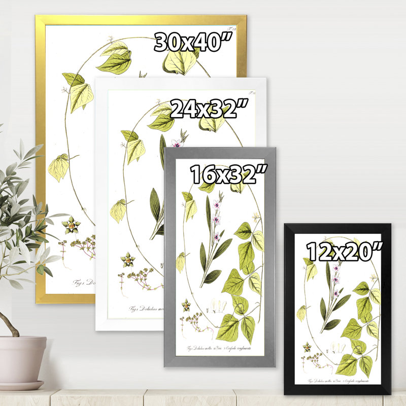 Vintage Botanicals XXI - Peinture sur toile, H 40 po x l 30 po x 1,5 po, Cadre doré