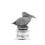 Sea And Shore Whiskey Decanter