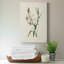 «Traditional Botanical IV», impression sur toile tendue-1109877876