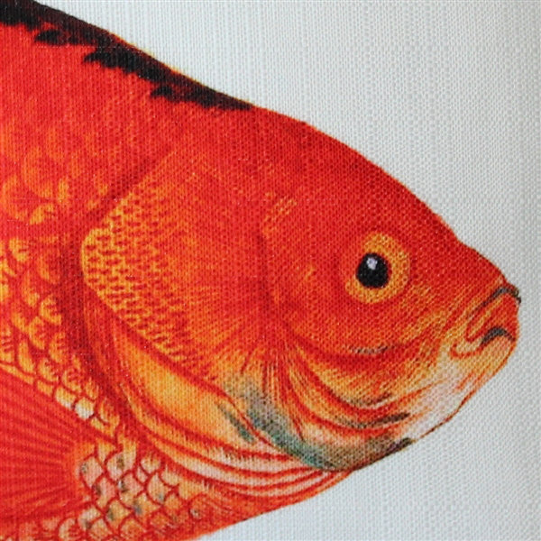 Coussin lombaire intérieur/extérieur un poisson rouge 