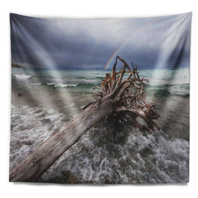 Arbre seascape tombé en tempête à la tapisserie de mer