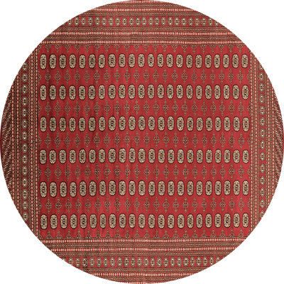 Oriental Indoor Rug