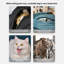 Sac de transport en toile pour animal de compagnie