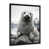 Black Picture Framed