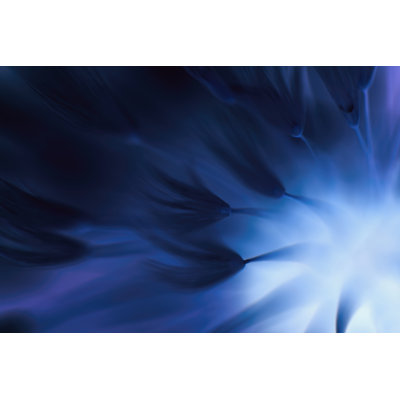 Aubreella Abstract Blurred Blue Flower - Wrapped Canvas Print
