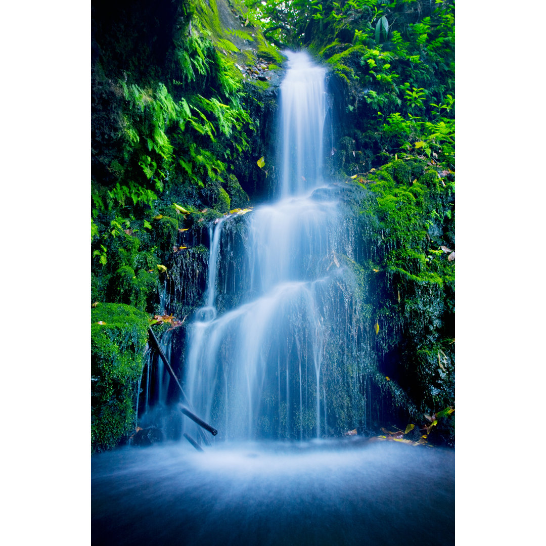 Leinwandbild Beautiful Lush Waterfall