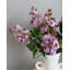 Artificial White Lilac 22.5"-719866864