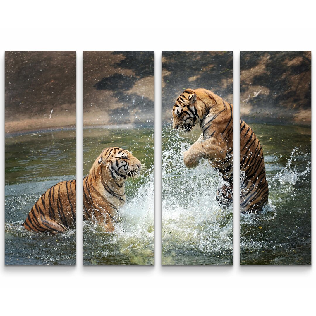 4-tlg. Leinwandbilder-Set Spielende Tiger im Wasser