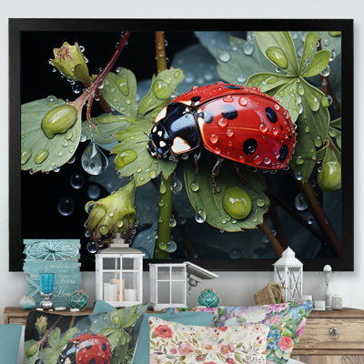 " Rainy Ladybugs Lullaby "