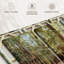 «Redwood with Sun Rays» sur toile-1136470214