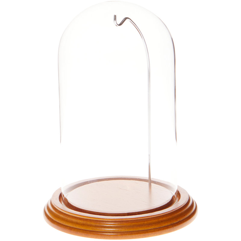 Cloche à dôme en verre 3 "x 4", Base en chêne / fil de laiton