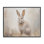 Giclée de lapin brun brossé par Arlington Prints